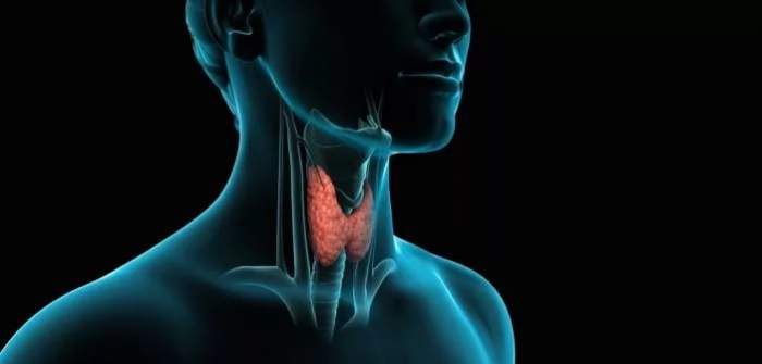 Патологии щитовидной железы