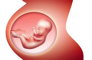Давление при беременности: норма по триместрам, причины отклонений и способы коррекции показателей - Diet4Health.ru