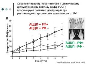Анализ крови на АЦЦП при ревматоидном артрите - подробности о болезнях суставов на Diet4Health.ru