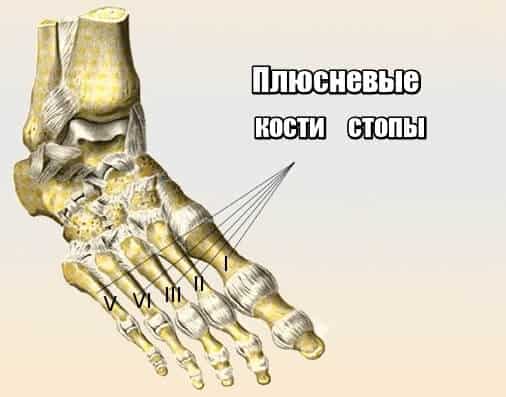 Что такое остеоартрит суставов, его симптомы и лечение - подробности о болезнях суставов на Diet4Health.ru Что такое остеоартрит суставов, его симптомы и лечение - подробности о болезнях суставов на Diet4Health.ru