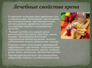 Лечение суставов хреном - подробности о болезнях суставов на Diet4Health.ru