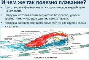 Плавание для похудения - всё о правильном питании для здоровья на Diet4Health.ru