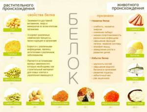 Белковая диета на неделю минус 6 кг за 7 дней - всё о правильном питании для здоровья на Diet4Health.ru