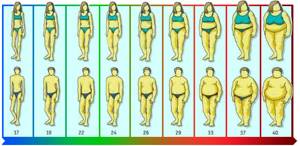 Индекс массы тела - всё о правильном питании для здоровья на Diet4Health.ru