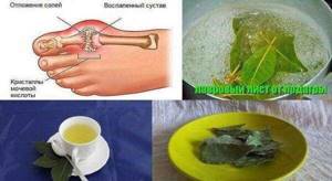 Лечение суставов лавровым листом - подробности о болезнях суставов на Diet4Health.ru