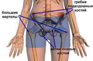 Причины хруста в суставах при сгибании и разгибании - подробности о болезнях суставов на Diet4Health.ru