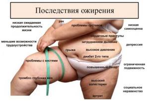 Лишний вес - всё о правильном питании для здоровья на Diet4Health.ru