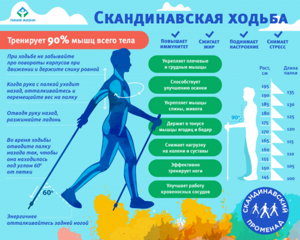 Скандинавская ходьба - всё о правильном питании для здоровья на Diet4Health.ru