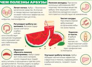 Арбуз при похудении - всё о правильном питании для здоровья на Diet4Health.ru