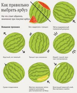 Калорийность арбуза - всё о правильном питании для здоровья на Diet4Health.ru