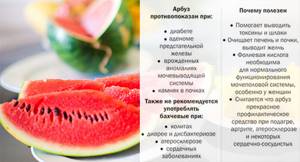 Калорийность арбуза - всё о правильном питании для здоровья на Diet4Health.ru