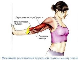 Принципы лечения растяжений плечевого сустава и плеча - подробности о болезнях суставов на Diet4Health.ru