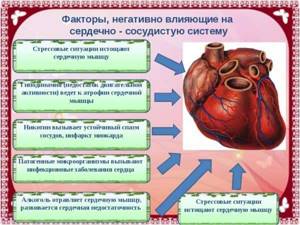 НПВС и сердечно-сосудистая система: осложнения и их профилактика - подробности о болезнях суставов на Diet4Health.ru