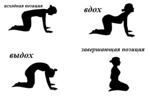 Йога для начинающих - всё о правильном питании для здоровья на Diet4Health.ru