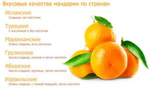 Сколько калорий в мандарине - всё о правильном питании для здоровья на Diet4Health.ru