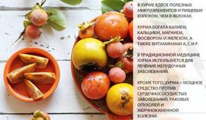 Хурма калорийность - всё о правильном питании для здоровья на Diet4Health.ru