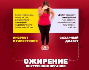 Нейросистема 7 для похудения - всё о правильном питании для здоровья на Diet4Health.ru