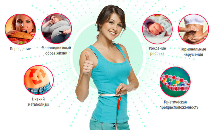 Hoodix - всё о правильном питании для здоровья на Diet4Health.ru