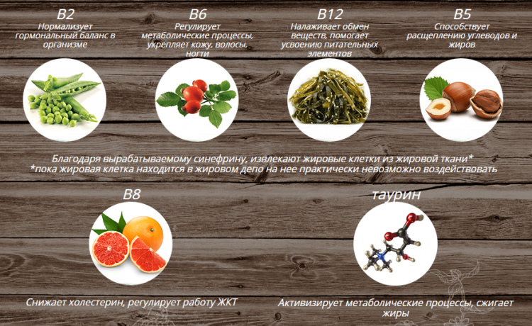 ProbiotSlim - всё о правильном питании для здоровья на Diet4Health.ru