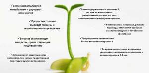 Grassfit - всё о правильном питании для здоровья на Diet4Health.ru