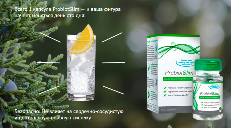 ProbiotSlim - всё о правильном питании для здоровья на Diet4Health.ru