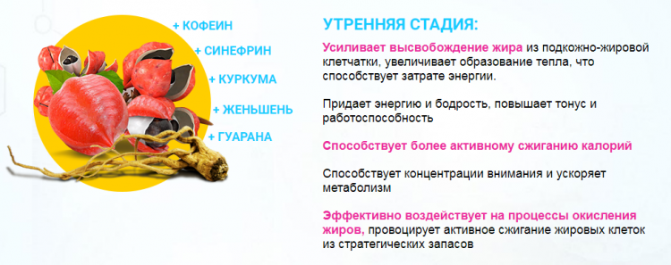 Dietonus - всё о правильном питании для здоровья на Diet4Health.ru