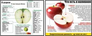 Калорийность фруктов - всё о правильном питании для здоровья на Diet4Health.ru