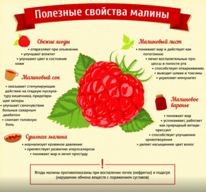 Калорийность малины - всё о правильном питании для здоровья на Diet4Health.ru