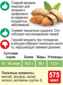 Калорийность орехов - всё о правильном питании для здоровья на Diet4Health.ru