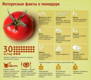 Помидорная диета - всё о правильном питании для здоровья на Diet4Health.ru Помидорная диета - всё о правильном питании для здоровья на Diet4Health.ru