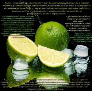 Рецепты правильного питания - всё о правильном питании для здоровья на Diet4Health.ru Рецепты правильного питания - всё о правильном питании для здоровья на Diet4Health.ru