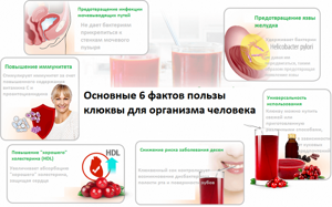 Рецепты правильного питания - всё о правильном питании для здоровья на Diet4Health.ru