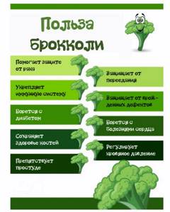 Рецепты правильного питания - всё о правильном питании для здоровья на Diet4Health.ru