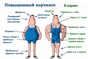 Почему вес стоит на месте при похудении - всё о правильном питании для здоровья на Diet4Health.ru Почему вес стоит на месте при похудении - всё о правильном питании для здоровья на Diet4Health.ru