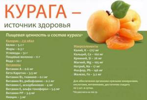 Курага калорийность - всё о правильном питании для здоровья на Diet4Health.ru