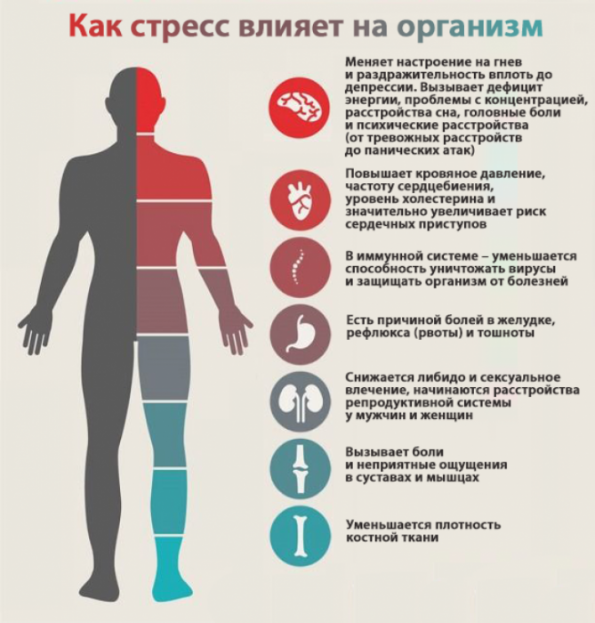Стресс - всё о правильном питании для здоровья на Diet4Health.ru