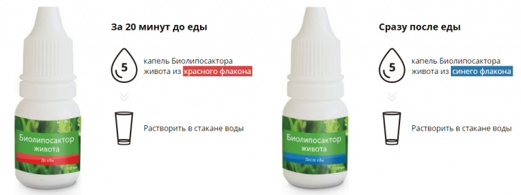 Биолипосактор живота - всё о правильном питании для здоровья на Diet4Health.ru