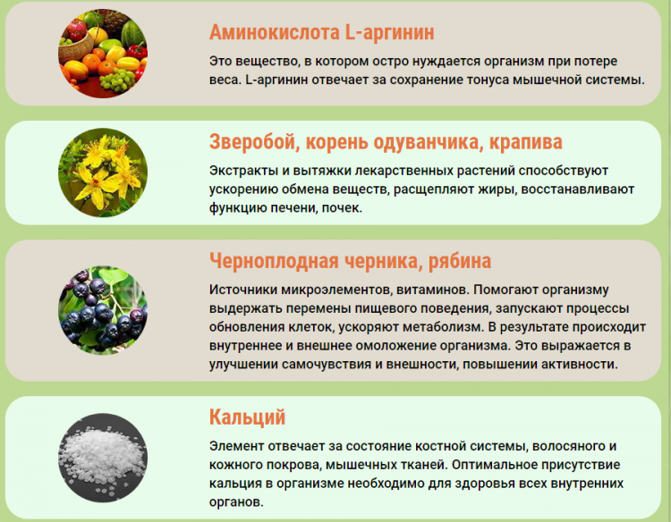 Липосакс - всё о правильном питании для здоровья на Diet4Health.ru