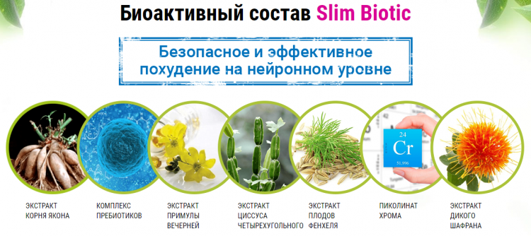 SlimBiotic - всё о правильном питании для здоровья на Diet4Health.ru