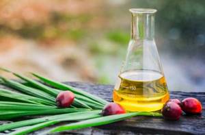 Как пальмовое масло влияет на организм: польза и вред - здоровое питание на Diet4Health.ru