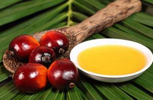 Как пальмовое масло влияет на организм: польза и вред - здоровое питание на Diet4Health.ru
