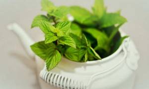5 продуктов, которые борются с неприятным запахом тела - здоровое питание на Diet4Health.ru
