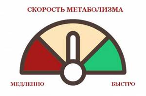 Как быстро запустить метаболизм с утра: 3 простых правила - здоровое питание на Diet4Health.ru